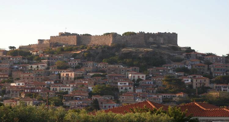 Έ&kappa;&pi;&tau;&omega;&sigma;&eta; 30% &alpha;&pi;ό &alpha;&kappa;&tau;&omicron;&pi;&lambda;&omicron;ϊ&kappa;ή &epsilon;&tau;&alpha;&iota;&rho;&epsilon;ί&alpha; &sigma;&epsilon; ό&sigma;&omicron;&upsilon;&sigmaf; &epsilon;&pi;&iota;&lambda;έ&xi;&omicron;&upsilon;&nu; &gamma;&iota;&alpha; &tau;&iota;&sigmaf; &delta;&iota;&alpha;&kappa;&omicron;&pi;έ&sigmaf; &tau;&omicron;&upsilon;&sigmaf; 4 &nu;&eta;&sigma;&iota;ά