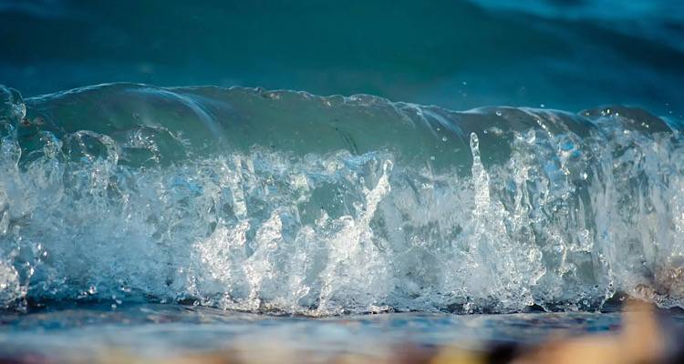 &Delta;&iota;ά&kappa;&rho;&iota;&sigma;&eta; &Epsilon;&lambda;&lambda;ή&nu;&omega;&nu; &epsilon;&pi;&iota;&sigma;&tau;&eta;&mu;ό&nu;&omega;&nu; &pi;&omicron;&upsilon; &mu;&epsilon;&lambda;&epsilon;&tau;&omicron;ύ&nu; &tau;&iota;&sigmaf; &epsilon;&pi;&iota;&pi;&tau;ώ&sigma;&epsilon;&iota;&sigmaf; &tau;&omega;&nu; &delta;&alpha;&sigma;&iota;&kappa;ώ&nu; &pi;&upsilon;&rho;&kappa;&alpha;&gamma;&iota;ώ&nu; &sigma;&tau;&alpha; &theta;&alpha;&lambda;ά&sigma;&sigma;&iota;&alpha; &omicron;&iota;&kappa;&omicron;&sigma;&upsilon;&sigma;&tau;ή&mu;&alpha;&tau;&alpha; | &Sigma;&tau;&omicron; &mu;&iota;&kappa;&rho;&omicron;&sigma;&kappa;ό&pi;&iota;&omicron; &kappa;&alpha;&iota; &eta; &Lambda;ή&mu;&nu;&omicron;&sigmaf; &lambda;ό&gamma;&omega; &Delta;&alpha;&delta;&iota;ά&sigmaf;