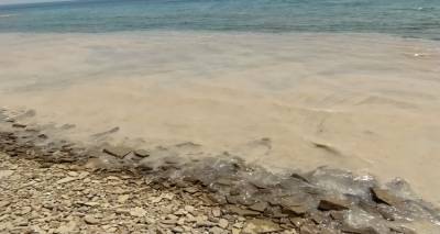 Έ&phi;&tau;&alpha;&sigma;&epsilon; &Lambda;ή&mu;&nu;&omicron; &eta; &theta;&alpha;&lambda;ά&sigma;&sigma;&iota;&alpha; &beta;&lambda;έ&nu;&nu;&alpha; &tau;&omicron;&upsilon; &Mu;&alpha;&rho;&mu;&alpha;&rho;&alpha; | &Tau;&epsilon;&rho;ά&sigma;&tau;&iota;&alpha; &eta; &zeta;&eta;&mu;&iota;ά &sigma;&tau;&eta;&nu; Ί&mu;&beta;&rho;&omicron;
