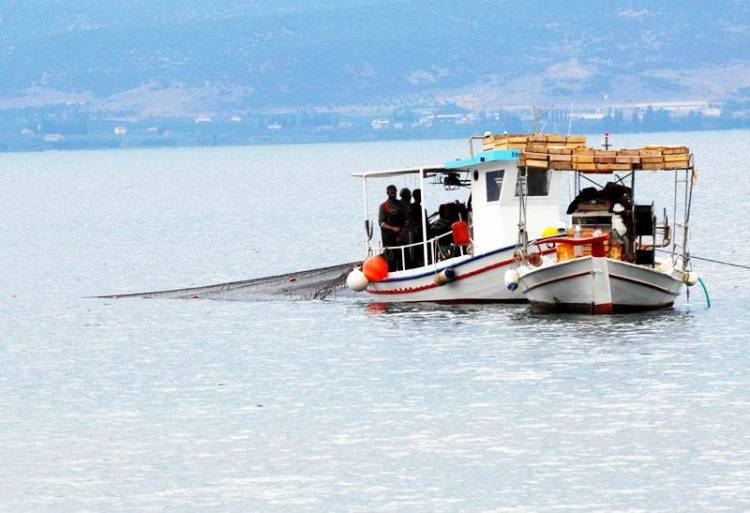 &Lambda;ά&theta;&omicron;&sigmaf; &omicron; &sigma;&upsilon;&nu;&alpha;&gamma;&epsilon;&rho;&mu;ό&sigmaf; &gamma;&iota;&alpha; &tau;&omicron;&upsilon;&sigmaf; &alpha;&lambda;&iota;&epsilon;ί&sigmaf; &tau;&eta;&sigmaf; &Lambda;ή&mu;&nu;&omicron;&upsilon; (mp3)