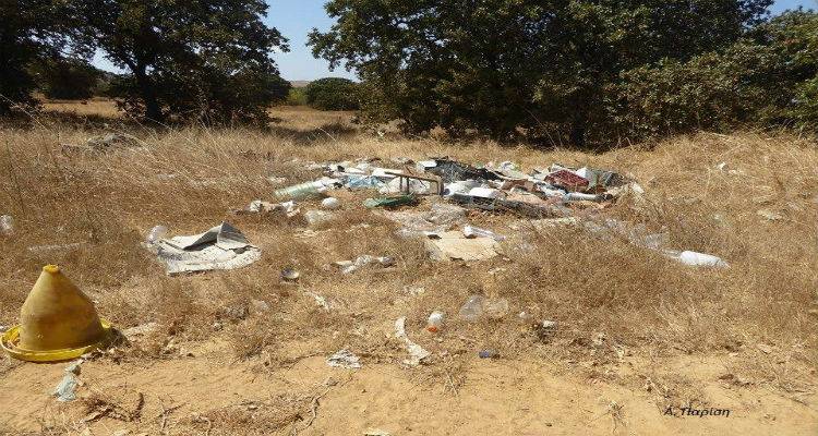 Σε σκουπιδότοπο μετατράπηκε το δάσος βαλανιδιών της Λήμνου (photos)