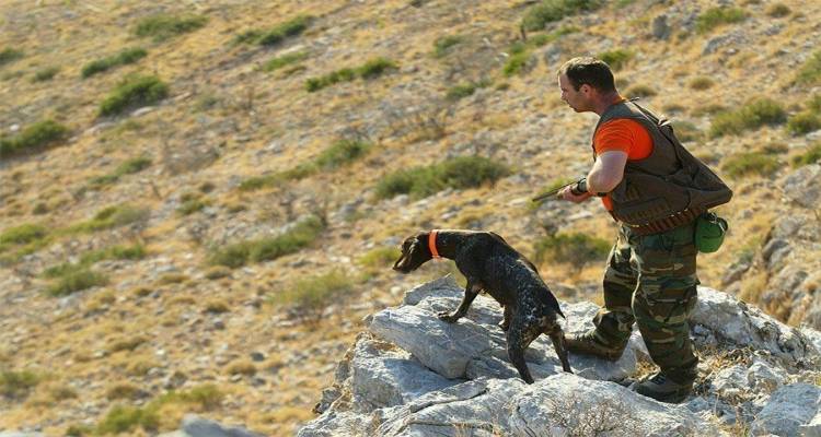 Πρεμιέρα για το κυνήγι πέρδικας στη Λήμνο με χαμηλές αποδόσεις λόγω καιρού