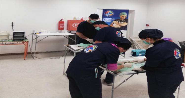 Άγιος Ευστράτιος: Στειρώθηκαν και εμβολιάστηκαν 41 αδέσποτες γάτες