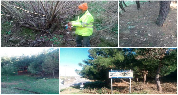 Εργασίες καθαρισμού στο αλσύλλιο του Αγίου Δημητρίου