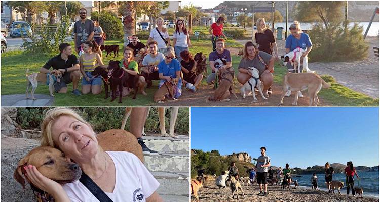 Οι εθελοντές και τα αδεσποτάκια του Δημοτικού Καταφυγίου απόλαυσαν μια φθινοπωρινή βόλτα στην παραλία