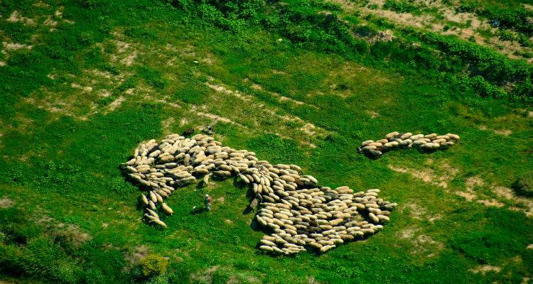 Ως τις 7 Οκτωβρίου οι δηλώσεις για ένταξη εκτάσεων στα Διαχειριστικά Σχέδια Βόσκησης που θα εκπονηθούν
