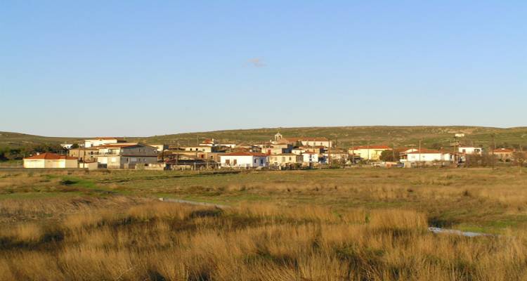 Επαναληπτική δημοπρασία για την εκμίσθωση αγρών στα Λύχνα