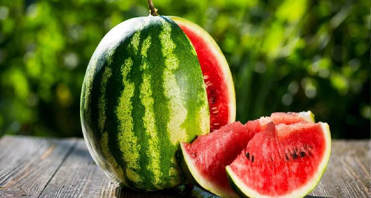 &Pi;ώ&sigmaf; &theta;&alpha; &kappa;&alpha;&tau;&alpha;&lambda;ά&beta;&epsilon;&tau;&epsilon; &epsilon;ά&nu; έ&nu;&alpha; &kappa;&alpha;&rho;&pi;&omicron;ύ&zeta;&iota; &epsilon;ί&nu;&alpha;&iota; ώ&rho;&iota;&mu;&omicron; | Έ&nu;&alpha; &pi;&alpha;&nu;&epsilon;ύ&kappa;&omicron;&lambda;&omicron; &kappa;ό&lambda;&pi;&omicron;