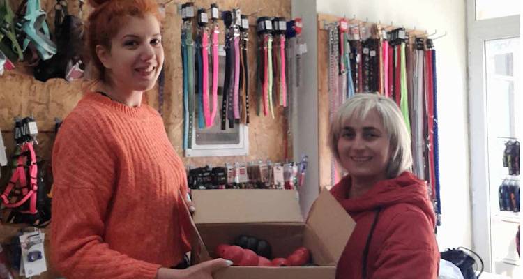 Φιλοζωικό Σωματείο Λήμνου: Ευχαριστήριο στην επιχείρηση Alegrito για δωρεά παιχνιδιών στα αδέσποτα ζώα