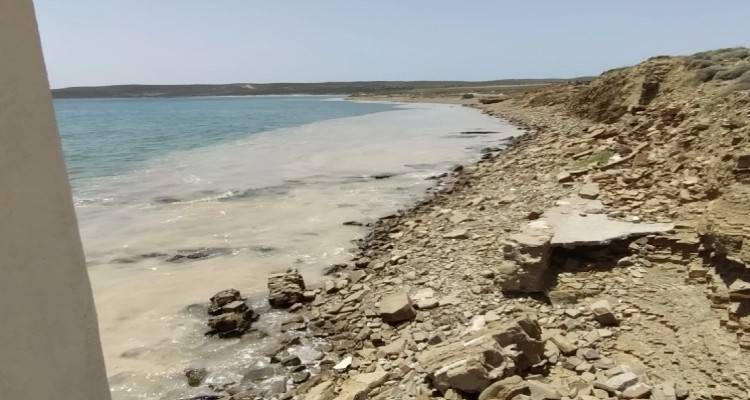 Σπυράκη: Στην Κομισιόν οι δραματικές μεταβολές στη βιοποικιλότητα από τη θαλάσσια βλέννα