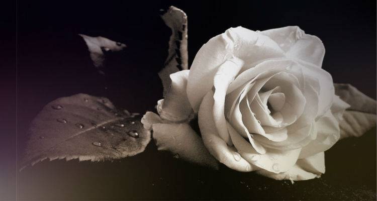 &Alpha;&kappa;&upsilon;&rho;ώ&nu;&epsilon;&tau;&alpha;&iota; &eta; &laquo;&Beta;&rho;&alpha;&delta;&iota;ά &Alpha;&nu;&theta;&rho;&omega;&pi;&iota;ά&sigmaf;&raquo; &sigma;&tau;&omicron; &Mu;&omicron;ύ&delta;&rho;&omicron; &lambda;ό&gamma;&omega; &pi;έ&nu;&theta;&omicron;&upsilon;&sigmaf;