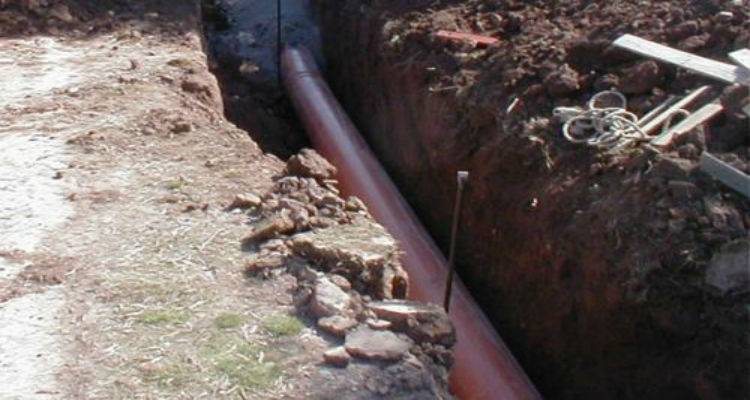 &Gamma;&iota;&alpha; &mu;&iota;&alpha; &epsilon;&beta;&delta;&omicron;&mu;ά&delta;&alpha; &delta;&iota;&alpha;&kappa;ό&pi;&tau;&epsilon;&tau;&alpha;&iota; &eta; &kappa;&upsilon;&kappa;&lambda;&omicron;&phi;&omicron;&rho;ί&alpha; &sigma;&epsilon; &omicron;&delta;&omicron;ύ&sigmaf; &tau;&eta;&sigmaf; &Mu;ύ&rho;&iota;&nu;&alpha;&sigmaf;