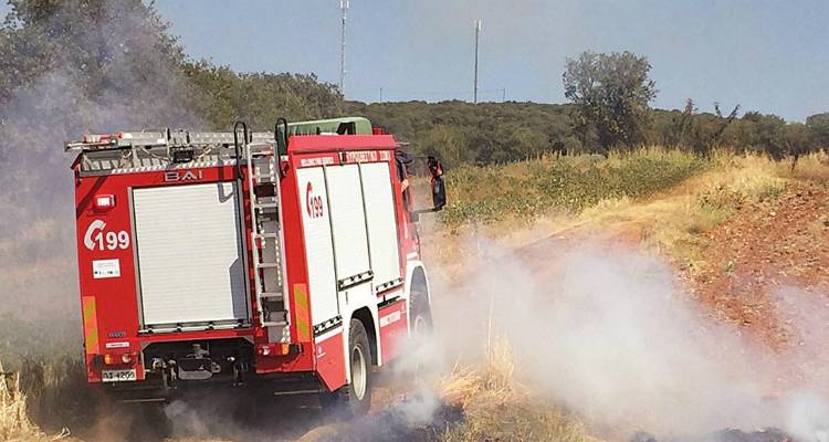 Φωτογραφία αρχείου