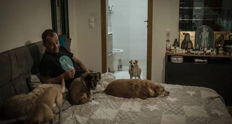 &Eta; &zeta;&omega;ή &tau;&omicron;&upsilon; &Tau;ά&kappa;&eta; &sigma;&tau;&eta;&nu; &Kappa;&rho;ή&tau;&eta; &pi;&omicron;&upsilon; έ&chi;&epsilon;&iota; &sigma;ώ&sigma;&epsilon;&iota; 2.500 &alpha;&delta;έ&sigma;&pi;&omicron;&tau;&alpha;, έ&gamma;&iota;&nu;&epsilon; &nu;&tau;&omicron;&kappa;&iota;&mu;&alpha;&nu;&tau;έ&rho;