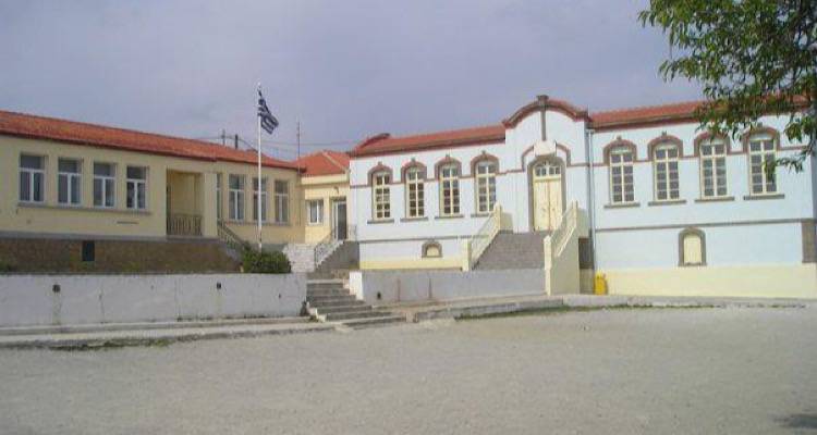 &Omicron; &Gamma;. &Pi;&iota;&nu;ά&kappa;&omicron;&sigmaf;, &gamma;&iota;&alpha; &tau;&eta;&nu; &upsilon;&pi;&omicron;&beta;ά&theta;&mu;&iota;&sigma;&eta; &tau;&omicron;&upsilon; &Delta;&eta;&mu;&omicron;&tau;&iota;&kappa;&omicron;ύ &Sigma;&chi;&omicron;&lambda;&epsilon;ί&omicron;&upsilon; &Kappa;&omicron;&nu;&tau;&omicron;&pi;&omicron;&upsilon;&lambda;ί&omicron;&upsilon; &kappa;&alpha;&iota; &tau;&eta;&nu; &sigma;&upsilon;&gamma;&kappa;έ&nu;&tau;&rho;&omega;&sigma;&eta; &delta;&iota;&alpha;&mu;&alpha;&rho;&tau;&upsilon;&rho;ί&alpha;&sigmaf; &tau;&eta; &Delta;&epsilon;&upsilon;&tau;έ&rho;&alpha; &Sigma;&Upsilon;&Nu;&Epsilon;&Nu;&Tau;&Epsilon;&Upsilon;&Xi;&Eta;