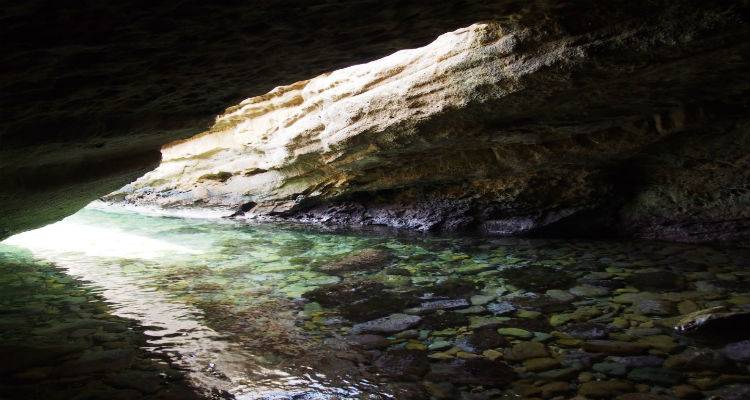 &Pi;&alpha;&rho;&omicron;&upsilon;&sigma;ί&alpha;&sigma;&eta; &beta;&iota;&beta;&lambda;ί&omicron;&upsilon; &laquo;&Eta; &sigma;&pi;&eta;&lambda;&iota;ά &tau;&omicron;&upsilon; &Phi;&iota;&lambda;&omicron;&kappa;&tau;ή&tau;&eta;&raquo; &tau;&eta;&sigmaf; &Zeta;&alpha;&phi;&epsilon;&iota;&rho;ί&alpha;&sigmaf; &Kappa;&omicron;&tau;&zeta;&alpha;&mu;ά&nu;&omicron;&gamma;&lambda;&omicron;&upsilon; &sigma;&tau;&eta; &Lambda;ή&mu;&nu;&omicron;