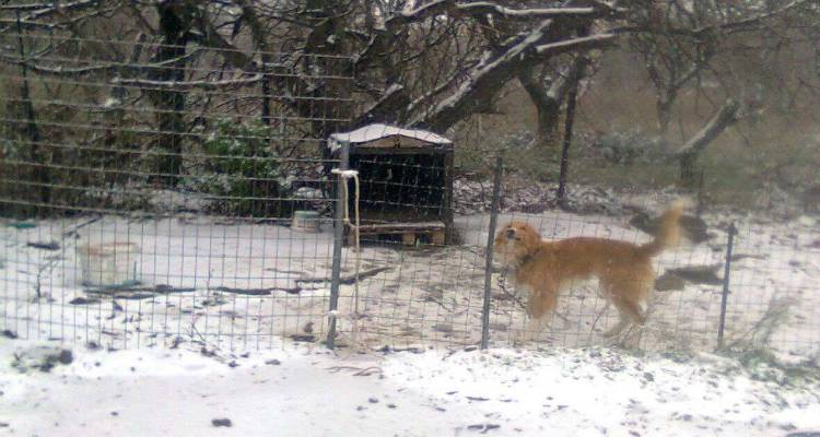 &Chi;ά&theta;&eta;&kappa;&epsilon; &omicron; &sigma;&kappa;ύ&lambda;&omicron;&sigmaf; &tau;&eta;&sigmaf; &phi;&omega;&tau;&omicron;&gamma;&rho;&alpha;&phi;ί&alpha;&sigmaf;