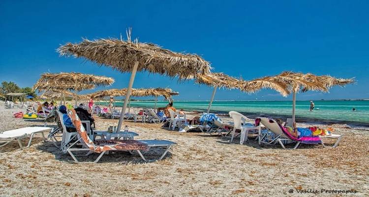 Φωτό: Βασίλης Πρωτόπαπας