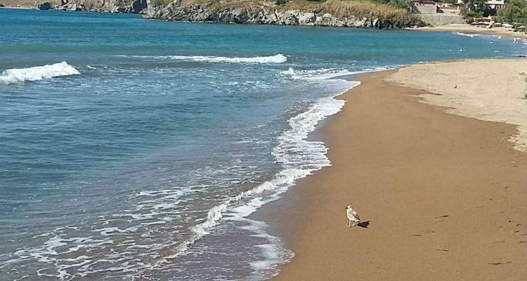 &Epsilon;&pi;&iota;&delta;&epsilon;ί&nu;&omega;&sigma;&eta; &tau;&omicron;&upsilon; &kappa;&alpha;&iota;&rho;&omicron;ύ &tau;&eta;&nu; &Tau;&epsilon;&tau;ά&rho;&tau;&eta; | &Sigma;&epsilon; &pi;&omicron;&iota;&epsilon;&sigmaf; &pi;&epsilon;&rho;&iota;&omicron;&chi;έ&sigmaf; &theta;&alpha; &beta;&rho;έ&xi;&epsilon;&iota;