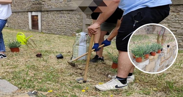 &Mu;&omicron;ύ&delta;&rho;&omicron;&sigmaf;: &Mu;&iota;&alpha; &pi;&rho;ά&sigma;&iota;&nu;&eta; &gamma;&omega;&nu;&iota;ά &sigma;&tau;&omicron; &sigma;&chi;&omicron;&lambda;&epsilon;ί&omicron; | &Mu;&alpha;&theta;&eta;&tau;&iota;&kappa;ή &delta;&rho;ά&sigma;&eta; &gamma;&iota;&alpha; &tau;&iota;&sigmaf; &Beta;&iota;ώ&sigma;&iota;&mu;&epsilon;&sigmaf; &Kappa;&omicron;&iota;&nu;ό&tau;&eta;&tau;&epsilon;&sigmaf;