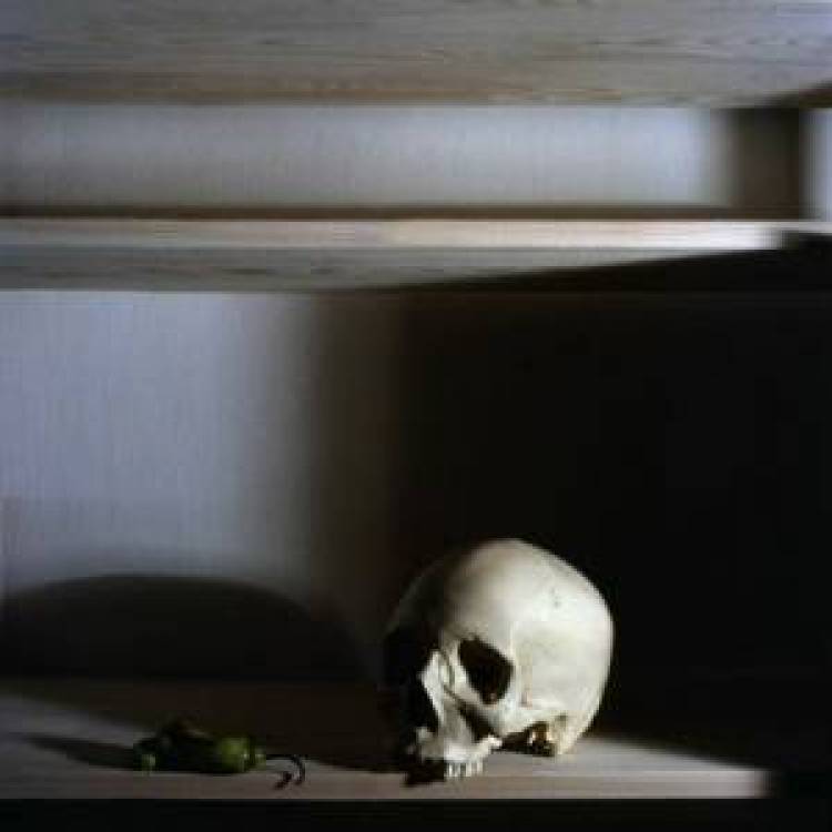 Mε ποια στρατηγική θα αντιμετωπίσουμε τη Χρυσή Αυγή;