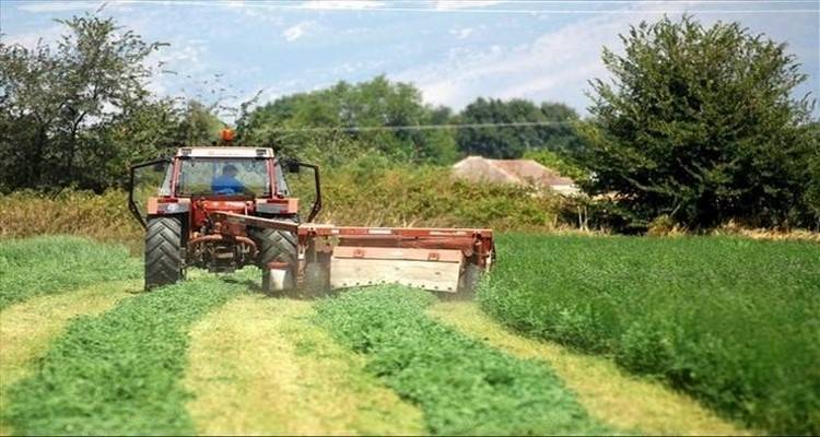 &Tau;&eta; &Delta;&epsilon;&upsilon;&tau;έ&rho;&alpha; &eta; &beta;' &delta;ό&sigma;&eta; &tau;&eta;&sigmaf; &epsilon;&nu;&iota;&alpha;ί&alpha;&sigmaf; &epsilon;&nu;ί&sigma;&chi;&upsilon;&sigma;&eta;&sigmaf; &sigma;&tau;&omicron;&upsilon;&sigmaf; &alpha;&gamma;&rho;ό&tau;&epsilon;&sigmaf;