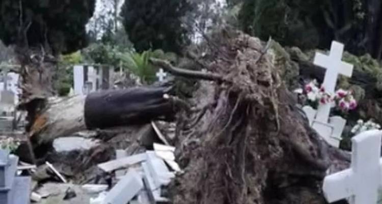 &Zeta;&eta;&mu;&iota;έ&sigmaf; &kappa;&alpha;&iota; &pi;&rho;&omicron;&beta;&lambda;ή&mu;&alpha;&tau;&alpha; &sigma;&tau;&eta; &beta;ό&rho;&epsilon;&iota;&alpha; &Kappa;έ&rho;&kappa;&upsilon;&rho;&alpha; &alpha;&pi;ό &tau;&eta;&nu; &kappa;&alpha;&kappa;&omicron;&kappa;&alpha;&iota;&rho;ί&alpha; -Έ&sigma;&pi;&alpha;&sigma;&alpha;&nu; &tau;ά&phi;&omicron;&iota; &sigma;&epsilon; &nu;&epsilon;&kappa;&rho;&omicron;&tau;&alpha;&phi;&epsilon;ί&omicron; &alpha;&pi;ό &pi;&epsilon;&sigma;&mu;έ&nu;&alpha; &kappa;&upsilon;&pi;&alpha;&rho;ί&sigma;&sigma;&iota;&alpha;