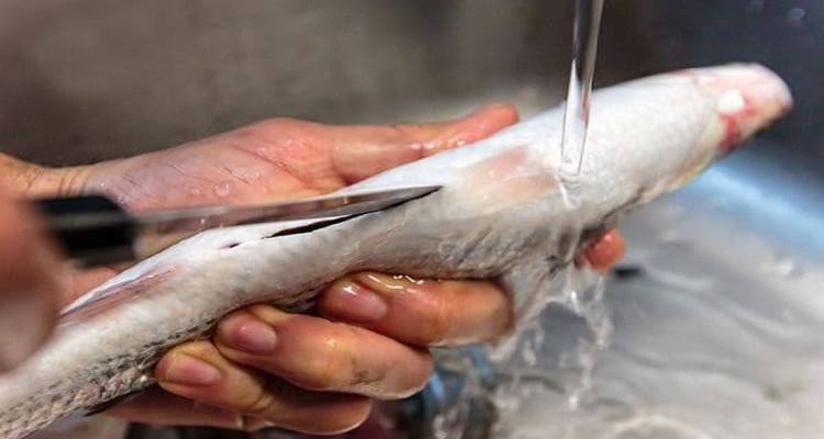 «Ψαρίλα» στους κάδους απορριμμάτων