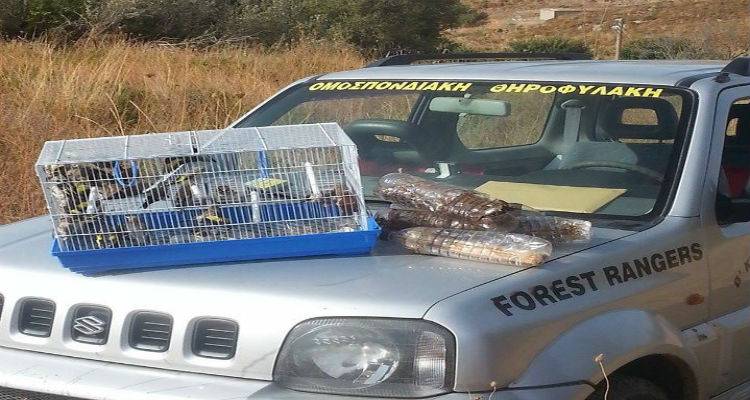 &Pi;&alpha;&rho;ά&nu;&omicron;&mu;&eta; &sigma;ύ&lambda;&lambda;&eta;&psi;&eta; &omega;&delta;&iota;&kappa;ώ&nu; &pi;&tau;&eta;&nu;ώ&nu; &mu;&epsilon; &iota;&xi;&omicron;ύ&sigmaf; &sigma;&tau;&eta; &Lambda;ή&mu;&nu;&omicron; (photos)