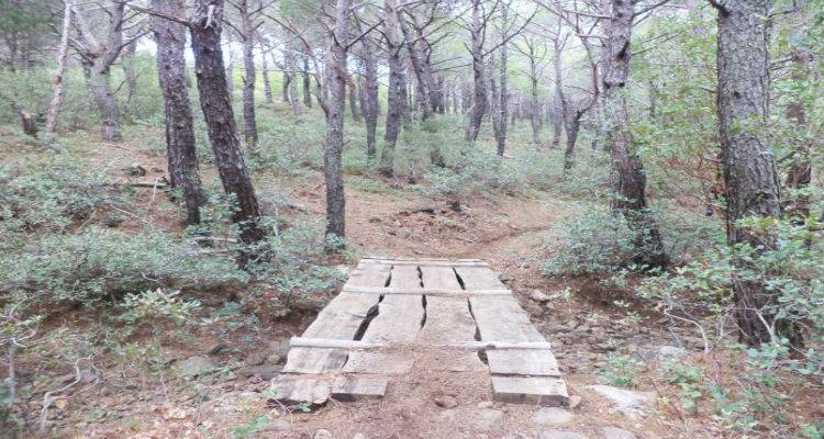 64 &theta;έ&sigma;&epsilon;&iota;&sigmaf; &gamma;&iota;&alpha; &tau;&eta;&nu; &delta;&alpha;&sigma;&omicron;&pi;&rho;&omicron;&sigma;&tau;&alpha;&sigma;ί&alpha; &sigma;&epsilon; &Lambda;ή&mu;&nu;&omicron; &kappa;&alpha;&iota; &Lambda;έ&sigma;&beta;&omicron;