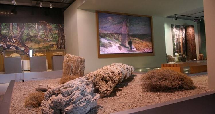 &Eta;&mu;&epsilon;&rho;ί&delta;&alpha; &gamma;&iota;&alpha; &tau;&alpha; &alpha;&rho;&chi;&alpha;&iota;&omicron;&lambda;&omicron;&gamma;&iota;&kappa;ά &epsilon;&upsilon;&rho;ή&mu;&alpha;&tau;&alpha; &Lambda;έ&sigma;&beta;&omicron;&upsilon; &kappa;&alpha;&iota; &Lambda;ή&mu;&nu;&omicron;&upsilon;