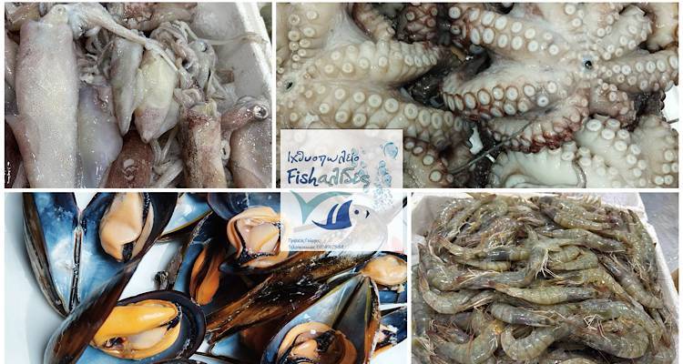 &Alpha;&upsilon;&tau;ή &tau;&eta;&nu; &kappa;. &Delta;&epsilon;&upsilon;&tau;έ&rho;&alpha; &eta; &theta;ά&lambda;&alpha;&sigma;&sigma;&alpha; &phi;&tau;ά&nu;&epsilon;&iota; &phi;&rho;έ&sigma;&kappa;&iota;&alpha; &sigma;&tau;&omicron; &tau;&rho;&alpha;&pi;έ&zeta;&iota; &sigma;&alpha;&sigmaf; &alpha;&pi;ό &tau;&iota;&sigmaf; &laquo;Fish&alpha;&lambda;ί&delta;&epsilon;&sigmaf;&raquo; | &Pi;&rho;&omicron;&pi;&alpha;&rho;&alpha;&gamma;&gamma;&epsilon;ί&lambda;&tau;&epsilon; &tau;ώ&rho;&alpha;!