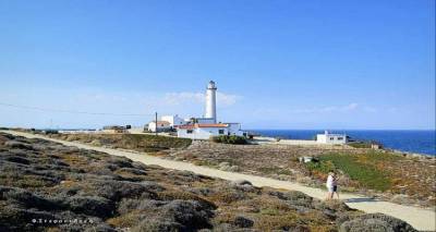 &Phi;&omega;&tau;&omicron;&gamma;&rho;&alpha;&phi;ί&alpha;: &Phi;&omega;&tau;&epsilon;&iota;&nu;ή &Sigma;&tau;&epsilon;&phi;&alpha;&nu;&iota;&delta;ά&kappa;&eta;