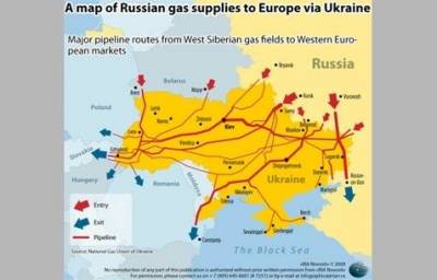 Καμιά φορά και οι αγελάδες πετάνε…