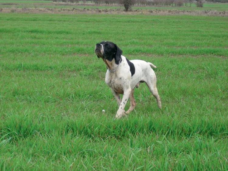 Έ&rho;&chi;&omicron;&nu;&tau;&alpha;&iota; &mu;έ&tau;&rho;&alpha; &kappa;&alpha;&tau;ά &tau;&eta;&sigmaf; &lambda;ύ&sigma;&sigma;&alpha;&sigmaf; &sigma;&tau;&eta; &Lambda;ή&mu;&nu;&omicron; | &Kappa;&upsilon;&rho;ώ&sigma;&epsilon;&iota;&sigmaf; &gamma;&iota;&alpha; &tau;&omicron;&upsilon;&sigmaf; &pi;&alpha;&rho;&alpha;&beta;ά&tau;&epsilon;&sigmaf;