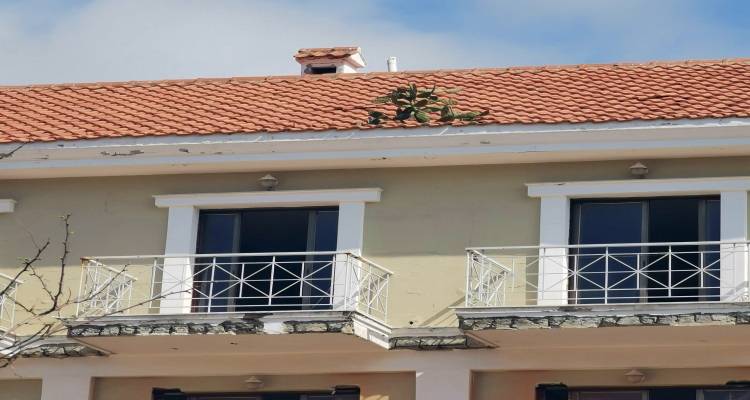 &Mu;&iota;&alpha; &phi;&rho;&alpha;&gamma;&kappa;&omicron;&sigma;&upsilon;&kappa;&iota;ά &sigma;&tau;&alpha; &kappa;&epsilon;&rho;&alpha;&mu;ί&delta;&iota;&alpha; &tau;&omicron;&upsilon; &xi;&epsilon;&nu;&omicron;&delta;&omicron;&chi;&epsilon;ί&omicron;&upsilon; &Kappa;ά&sigma;&tau;&rho;o