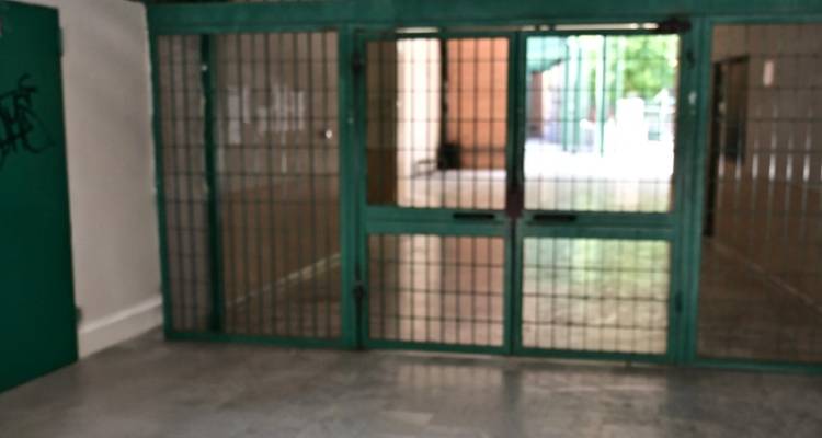 &Kappa;&alpha;&tau;&alpha;&gamma;&gamma;&epsilon;&lambda;ί&alpha; &gamma;&iota;&alpha; &lambda;&epsilon;&kappa;&tau;&iota;&kappa;ή &kappa;&alpha;&kappa;&omicron;&pi;&omicron;ί&eta;&sigma;&eta; &alpha;&pi;ό &phi;&iota;&lambda;ό&lambda;&omicron;&gamma;&omicron; &lambda;&upsilon;&kappa;&epsilon;ί&omicron;&upsilon; &sigma;&tau;&eta;&nu; &Alpha;&gamma;ί&alpha; &Pi;&alpha;&rho;&alpha;&sigma;&kappa;&epsilon;&upsilon;ή &pi;&omicron;&upsilon; &chi;&rho;&eta;&sigma;&iota;&mu;&omicron;&pi;&omicron;&iota;&epsilon;ί &tau;&eta; &mu;έ&theta;&omicron;&delta;&omicron; &laquo;&alpha;&nu;&epsilon;&sigma;&tau;&rho;&alpha;&mu;&mu;έ&nu;&eta; &tau;ά&xi;&eta;&raquo;: &Mu;&alpha;&theta;&eta;&tau;έ&sigmaf; &kappa;&lambda;&alpha;ί&nu;&epsilon; &sigma;&tau;&eta;&nu; &tau;ά&xi;&eta;