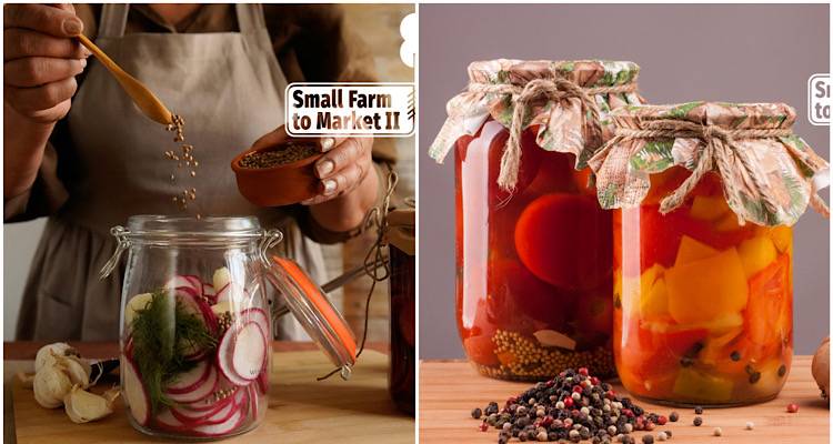 Η Λήμνος στο προσκήνιο ενός νέου μοντέλου αγροτουρισμού μέσω του «Small Farm to Market II»