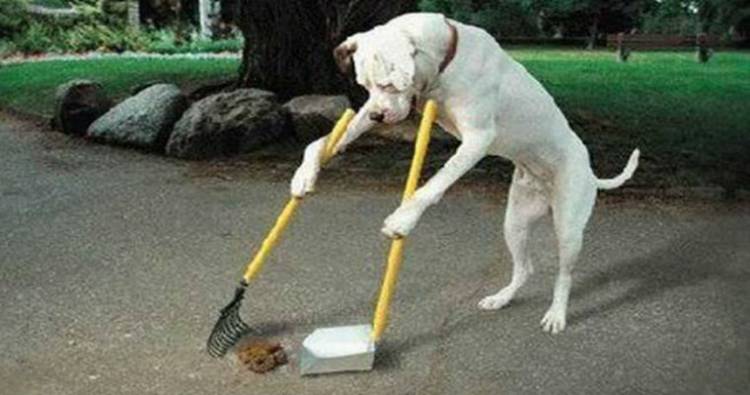 &laquo;&Alpha;&nu;&epsilon;&xi;έ&lambda;&epsilon;&gamma;&kappa;&tau;&eta; &rho;ύ&pi;&alpha;&nu;&sigma;&eta; &tau;&omega;&nu; &kappa;&omicron;&iota;&nu;ό&chi;&rho;&eta;&sigma;&tau;&omega;&nu; &chi;ώ&rho;&omega;&nu; &tau;&omicron;&upsilon; &Delta;ή&mu;&omicron;&upsilon; &Lambda;ή&mu;&nu;&omicron;&upsilon; &alpha;&pi;ό &tau;&alpha; &pi;&epsilon;&rho;&iota;&tau;&tau;ώ&mu;&alpha;&tau;&alpha; &zeta;ώ&omega;&nu;&raquo;