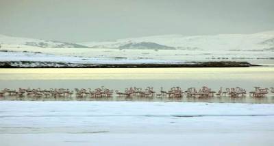 Ί&sigma;&omega;&sigmaf; &eta; &omicron;&mu;&omicron;&rho;&phi;ό&tau;&epsilon;&rho;&eta; &phi;&omega;&tau;&omicron;&gamma;&rho;&alpha;&phi;ί&alpha; &alpha;&pi;ό &tau;&eta; &chi;&iota;&omicron;&nu;&iota;&sigma;&mu;έ&nu;&eta; &Lambda;ή&mu;&nu;&omicron;
