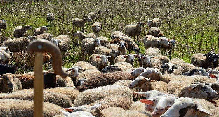 &Nu;έ&epsilon;&sigmaf; &pi;&lambda;&eta;&rho;&omega;&mu;έ&sigmaf; &alpha;&pi;ό &tau;&omicron;&nu; &Omicron;&Pi;&Epsilon;&Kappa;&Epsilon;&Pi;&Epsilon;