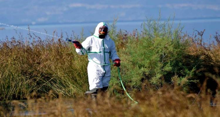 &Chi;&omega;&rho;ί&sigmaf; &psi;&epsilon;&kappa;&alpha;&sigma;&mu;&omicron;ύ&sigmaf; &gamma;&iota;&alpha; &tau;&alpha; &kappa;&omicron;&upsilon;&nu;&omicron;ύ&pi;&iota;&alpha; &eta; &Lambda;ή&mu;&nu;&omicron;&sigmaf; | &Alpha;&upsilon;&xi;ά&nu;&omicron;&nu;&tau;&alpha;&iota; &tau;&alpha; &pi;&alpha;&rho;ά&pi;&omicron;&nu;&alpha; &tau;&omega;&nu; &kappa;&alpha;&tau;&omicron;ί&kappa;&omega;&nu;