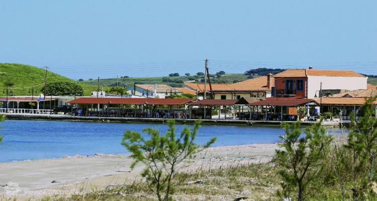 &Epsilon;&theta;&epsilon;&lambda;&omicron;&nu;&tau;&iota;&kappa;ό&sigmaf; &kappa;&alpha;&theta;&alpha;&rho;&iota;&sigma;&mu;ό&sigmaf; &tau;&eta;&sigmaf; &pi;&alpha;&rho;&alpha;&lambda;ί&alpha;&sigmaf; &tau;&omicron;&upsilon; &Kappa;ό&tau;&sigma;&iota;&nu;&alpha; &alpha;&pi;ό &tau;&omicron;&nu; &Pi;&Alpha;&Omicron; &Rho;&epsilon;&pi;&alpha;&nu;&iota;&delta;ί&omicron;&upsilon;