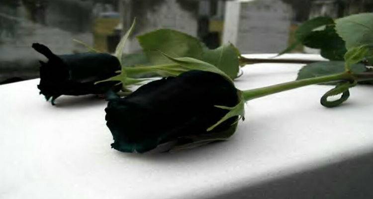 &Sigma;&upsilon;&lambda;&lambda;&upsilon;&pi;&eta;&tau;ή&rho;&iota;&alpha; &alpha;&nu;&alpha;&kappa;&omicron;ί&nu;&omega;&sigma;&eta; &alpha;&pi;ό &tau;&eta;&nu; &Epsilon;&Lambda;&Mu;&Epsilon; &Lambda;ή&mu;&nu;&omicron;&upsilon; &amp; &Alpha;&gamma;ί&omicron;&upsilon; &Epsilon;&upsilon;&sigma;&tau;&rho;&alpha;&tau;ί&omicron;&upsilon;