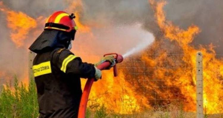 2.500 &epsilon;&pi;&omicron;&chi;&iota;&kappa;&omicron;ί &pi;&upsilon;&rho;&omicron;&sigma;&beta;έ&sigma;&tau;&epsilon;&sigmaf;