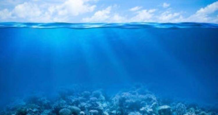 &Tau;&omicron; &Delta;ί&kappa;&tau;&upsilon;&omicron; &Alpha;&nu;&alpha;&pi;&tau;&upsilon;&xi;&iota;&alpha;&kappa;ώ&nu; &Epsilon;&tau;&alpha;&iota;&rho;&iota;ώ&nu; &Nu;&eta;&sigma;&iota;&omega;&tau;&iota;&kappa;ή&sigmaf; &Epsilon;&lambda;&lambda;ά&delta;&alpha;&sigmaf;  &sigma;&upsilon;&nu;&delta;&iota;&omicron;&rho;&gamma;&alpha;&nu;ώ&nu;&epsilon;&iota; &tau;&omicron; 1&omicron; &Beta;&iota;&omega;&mu;&alpha;&tau;&iota;&kappa;ό &Epsilon;&rho;&gamma;&alpha;&sigma;&tau;ή&rho;&iota; &Delta;&iota;&kappa;&tau;ύ&omega;&sigma;&eta;&sigmaf; &Pi;&omicron;&lambda;&iota;&tau;&iota;&sigma;&tau;&iota;&kappa;ώ&nu; &Phi;&omicron;&rho;έ&omega;&nu;