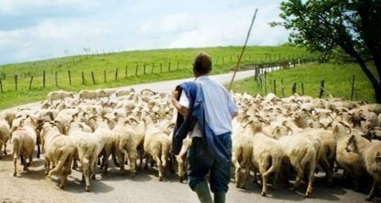 Λήμνος: Ενημερωτική συνάντηση κτηνοτρόφων στην Ατσική