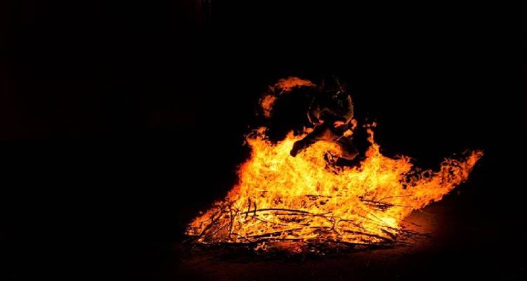 &Omicron; &Pi;&omicron;&lambda;. &Sigma;ύ&lambda;&lambda;&omicron;&gamma;&omicron;&sigmaf; &Delta;ά&phi;&nu;&eta;&sigmaf; &alpha;&nu;ά&beta;&epsilon;&iota; &phi;&omega;&tau;&iota;έ&sigmaf; &kappa;&alpha;&iota; &sigma;&alpha;&sigmaf; &laquo;&pi;&alpha;&nu;&tau;έ&chi;&rsquo;&raquo;