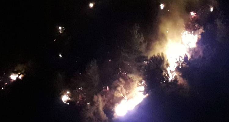 &Mu;&epsilon;&gamma;ά&lambda;&eta; &delta;&alpha;&sigma;&iota;&kappa;ή &pi;&upsilon;&rho;&kappa;&alpha;&gamma;&iota;ά &sigma;&tau;&eta; &Lambda;έ&sigma;&beta;&omicron; (photos)
