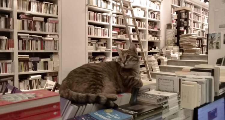 Βάζει λουκέτο μετά από 12 χρόνια το βιβλιοπωλείο «Επί Λέξει»